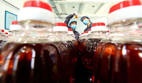 農產品精深加工鏈商機 張掖高臺食用保健油俏銷粵閩