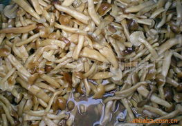 正定縣常山食用菌廠 其他食用菌產(chǎn)品列表詳解與食用農(nóng)產(chǎn)品特色