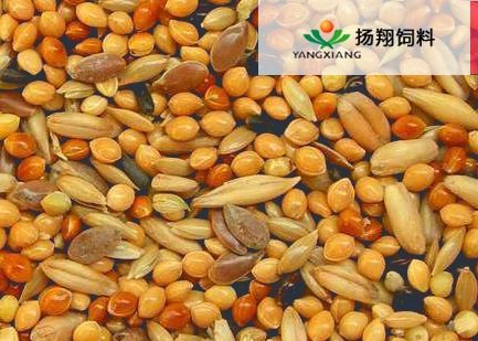 食用農產品物流優化 從工廠到餐桌的協同與升級
