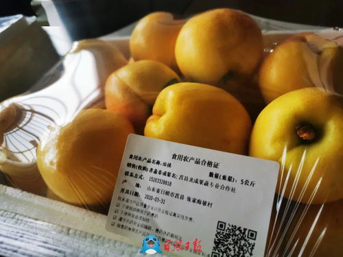 咱是有“身份”的果子了 ——食用農產品數字追溯新趨勢觀察