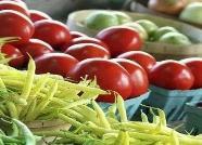 德州食用林產品質量監測創新高 首批合格率100%保障餐桌安全