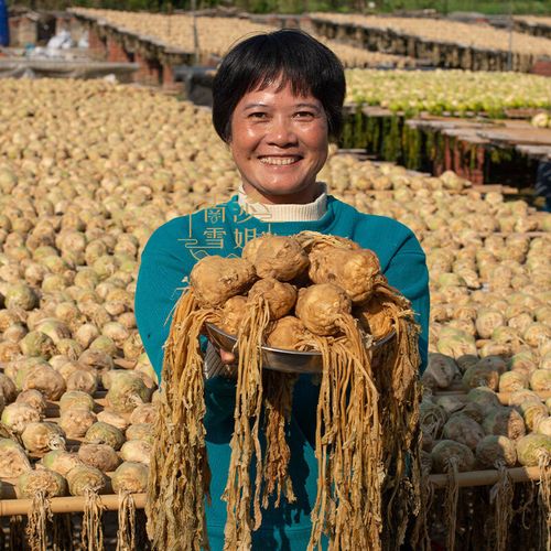 淡口高麗菜 中山黃埔傳統晾曬風干工藝，爽口薄鹽腌咸菜新食尚